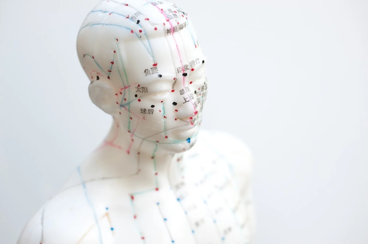 Ventouses chinoises et points d'acupuncture